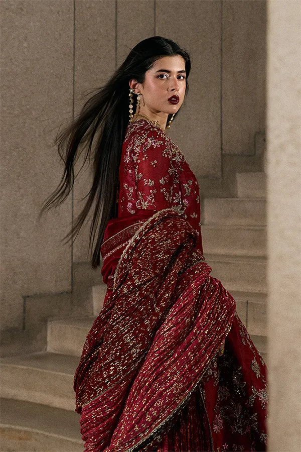 Suffuse Freeshia 25 - Jaseria